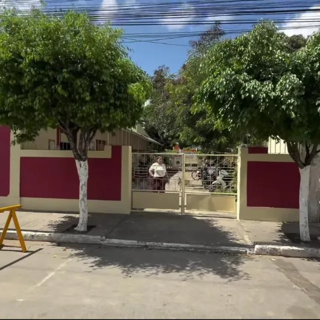Portão de entrada da escola, entre as árvores da calçada