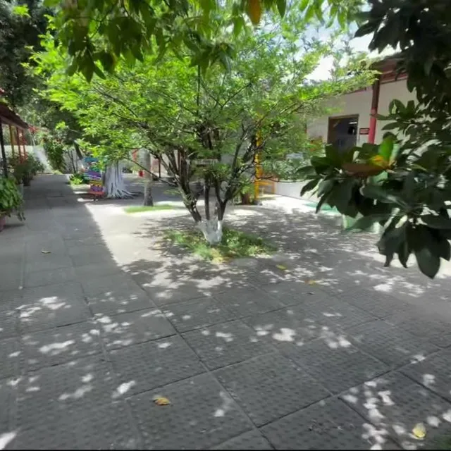 Pátio interno arborizado, com as salas de aula ao redor